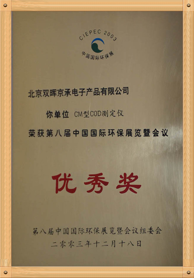 Excellence Award